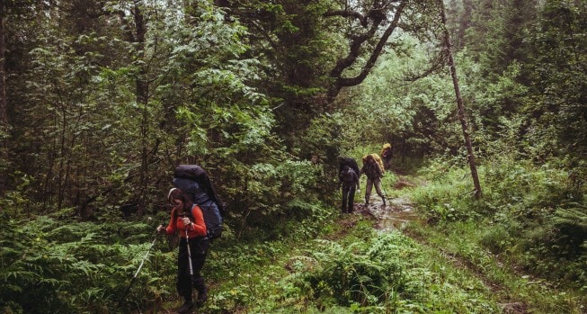 Kerala Summer Travel Guide 2026 Best Places Itinerary and Hotel Tips