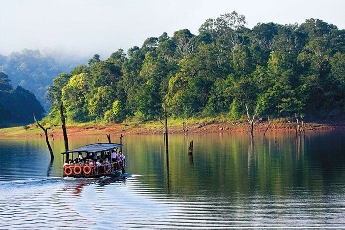 Periyar Tiger Reserve Thekkady A Detailed Guide for Nature Focused Travellers